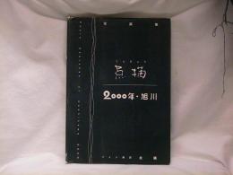 点描2000年・旭川 : 写真集