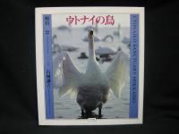 ウトナイの鳥