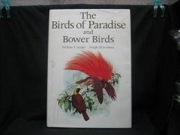 The birds of paradise and bower birds