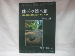 珠玉の標本箱　日本産蝶類標本写真およびデータベース(27)アゲハチョウ科⑦　カラスアゲハ2