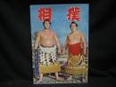 相撲　初場所展望号 13(1)(182)