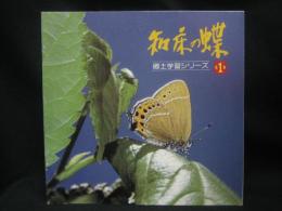 知床の蝶