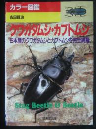 クワガタムシ・カブトムシ : 日本産のクワガタムシとカブトムシを完全網羅