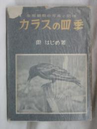 カラスの四季 : 生態観察の写真と記録