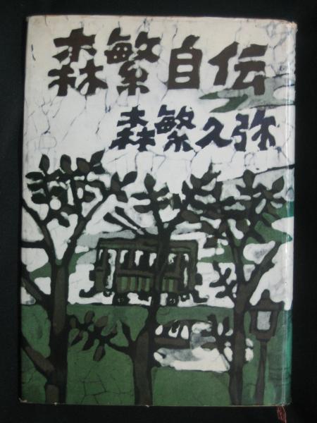 高質 鳥凧 : やっと鴎たちと友だちになれた! Beauty…in the wind アート+エンタメ