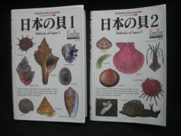 日本の貝:1(巻貝)2(二枚貝・陸貝・イカ・タコほか)揃い