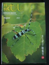 月刊むし 2023年8月号 カミキリ特集号23