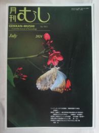 月刊むし　２０２４年７月号