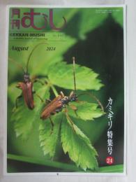 月刊むし　２０２４年８月号　カミキリ特集号２４