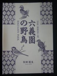 六義園の野鳥