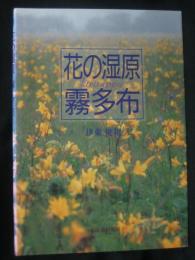 花の湿原霧多布
