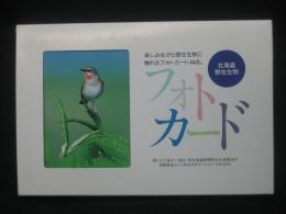 北海道野生生物フォトカード
