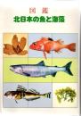 図解　北日本の魚と海藻