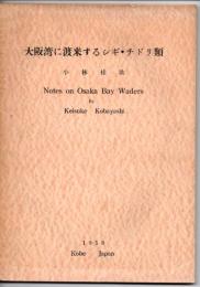 大阪湾に渡来するシギ・チドリ類