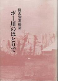 柳沢巽遺稿集　ポー川のほとりで