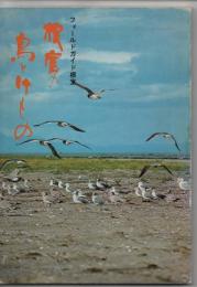 フィールドガイド根室　根室の鳥とけもの