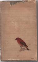 野鳥歳時記