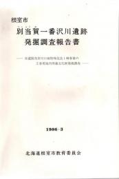 根室市別当賀一番沢川遺跡発掘調査報告書