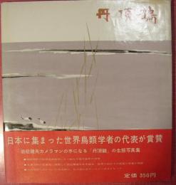 丹頂鶴