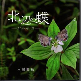 北辺の蝶―カラフトルリシジミ―