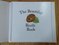 The Beautiful Beetle Book
