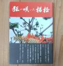 狂い咲いた梯梧