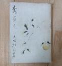 壽貞尼