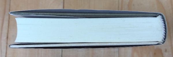 ドキュメント金融破綻 | 佐藤章 著 | 岩波書店 | ¥2,600 - 日本の