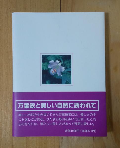 花　万葉集 萬葉花集 箱（約60枚入） – 三州総本舗オンラインショップ