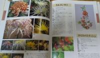 新々花材事典　水揚法つき　もっともよく使われる最新花材