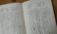 新児童心理学