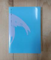 私の書き方・話し方 : 表現力・実践編