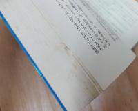 コードネームはマリアンヌ