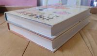牡丹亭お遊　上・下巻２冊セット