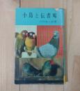 小鳥と伝書鳩