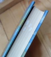 天馬の如く : 近代ジャーナリスト物語