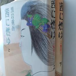 茜に燃ゆ : 小説額田王