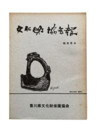 文化財協会報 特別号9