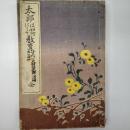 太郎は如何にして教育すべき乎