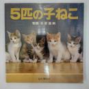 5匹の子ねこ