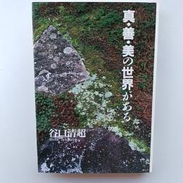 真・善・美の世界がある