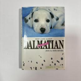 DALMATIAN ダルメシアン　ポストカード
（小犬のポストカード＆シール）