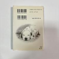 DALMATIAN ダルメシアン　ポストカード
（小犬のポストカード＆シール）