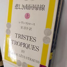 悲しき南回帰線　(講談社学術文庫)