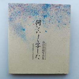 何となく写した