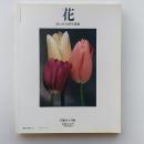 花273 : 秋山庄太郎写真集