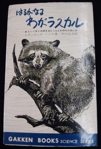 はるかなるわがラスカル スターリング ノース 著 川口正吉 訳 讃州堂書店 古本 中古本 古書籍の通販は 日本の古本屋 日本の古本屋 はるかなるわがラスカル スターリング ノース 著 川口正吉 訳 讃州堂書店 古本 中古本 古書籍の通販は 日本の古本屋 日本の古本屋