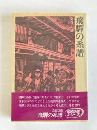 飛騨の系譜