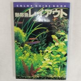 熱帯魚レイアウト