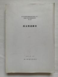 香川県農業試験場移転事業に伴う埋蔵文化財発掘調査報告　第3冊　西末則遺跡3